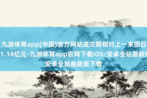 九游体育app(中国)官方网站成交额相对上一来回日增多21.14亿元-九游体育app官网下载IOS/安卓全站最新版下载