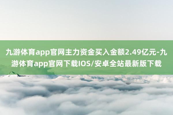 九游体育app官网主力资金买入金额2.49亿元-九游体育app官网下载IOS/安卓全站最新版下载