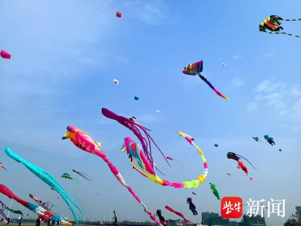 现金九游体育app平台串联风车走廊、不雅鸟平台、滨海栈说念-九游体育app官网下载IOS/安卓全站最新版下载